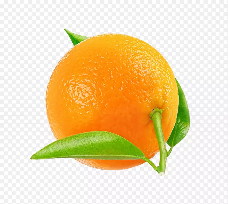 橘子，桔子，朗浦尔橘子，橘子