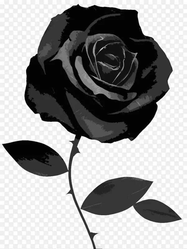 黑色玫瑰桌面壁纸夹艺术-花黑色