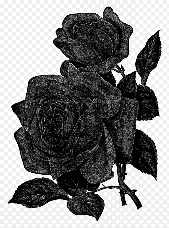 紫丁香玫瑰花黑白夹板艺术-花黑色