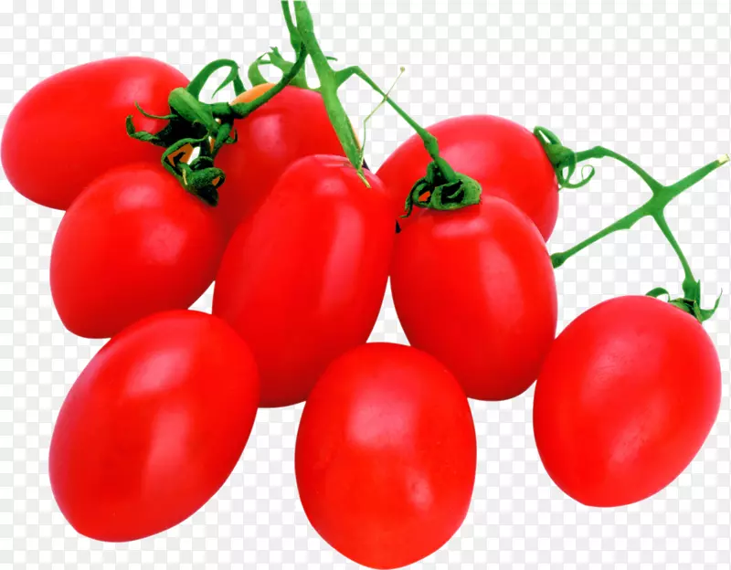 樱桃番茄蔬菜食品水果-番茄