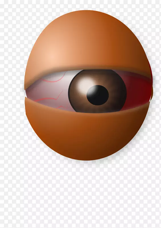 眼睛电脑图标全球剪贴画-鸡蛋