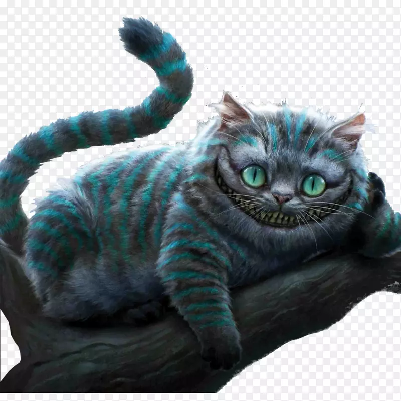 卡特彼勒白兔心后柴郡猫仙境