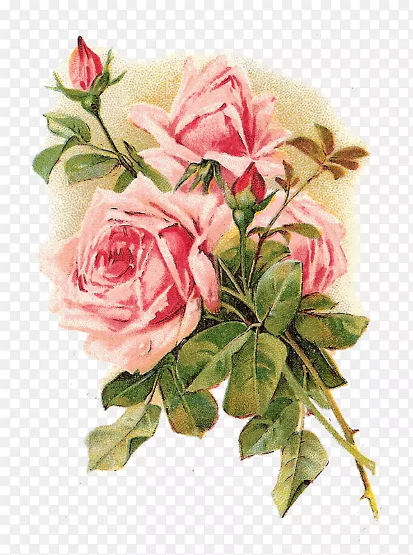 玫瑰花，旧衣服，花，粉红色，破旧，别致的背景