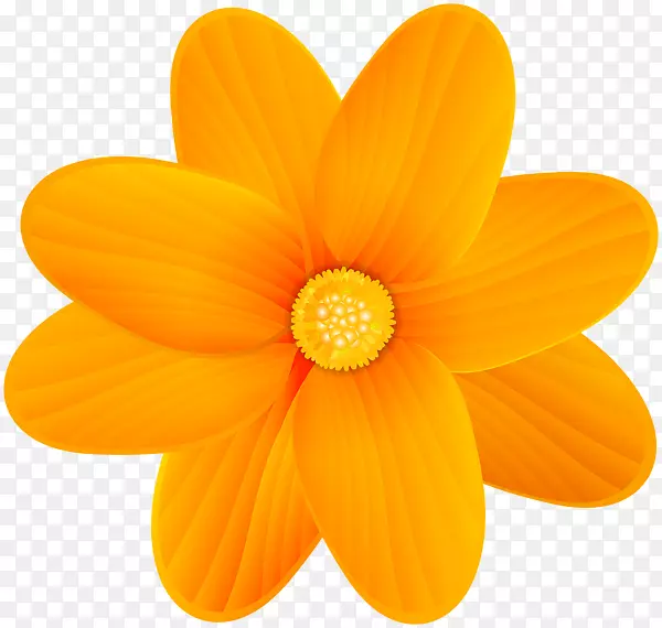 黄色剪贴画-橙色花
