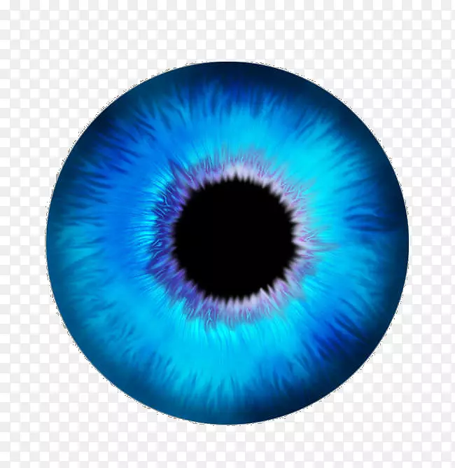 眼虹膜计算机图标.眼睛