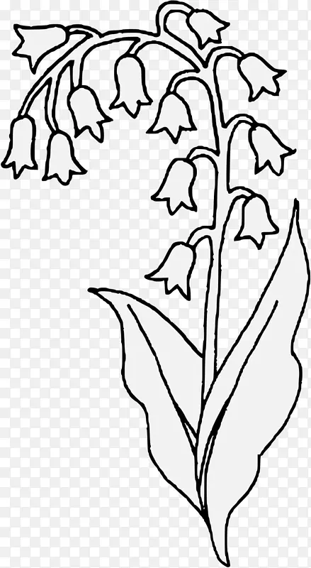 山谷花卉的百合画植物茎夹艺术-百合花的山谷
