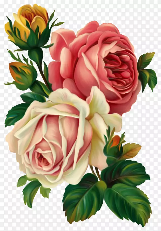 玫瑰花，复古服装，粉红剪贴画