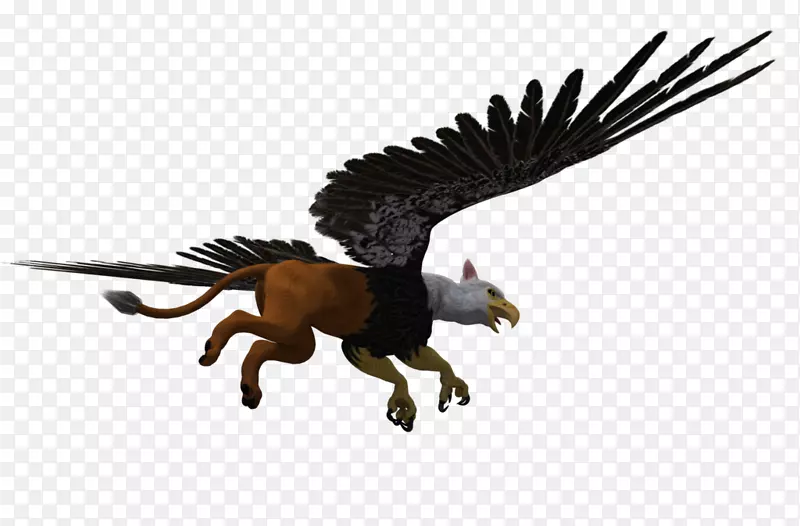 方舟：生存进化的狮子萨博雅斯39鹰鸟艺术琐事-格里芬