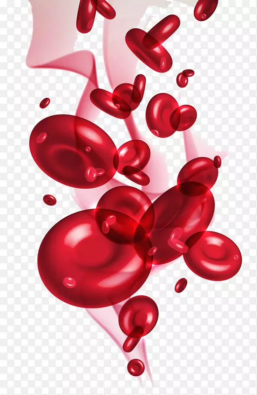 红细胞-细胞