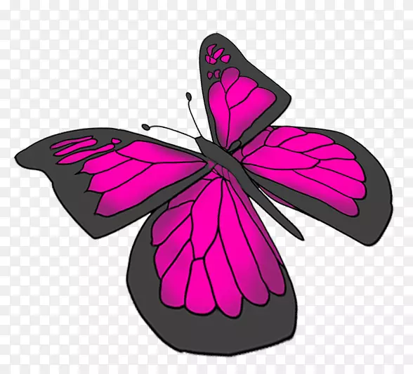 蝴蝶粉红紫色画-粉红蝴蝶