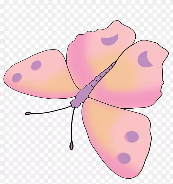 蝴蝶昆虫粉红画夹艺术-粉红蝴蝶