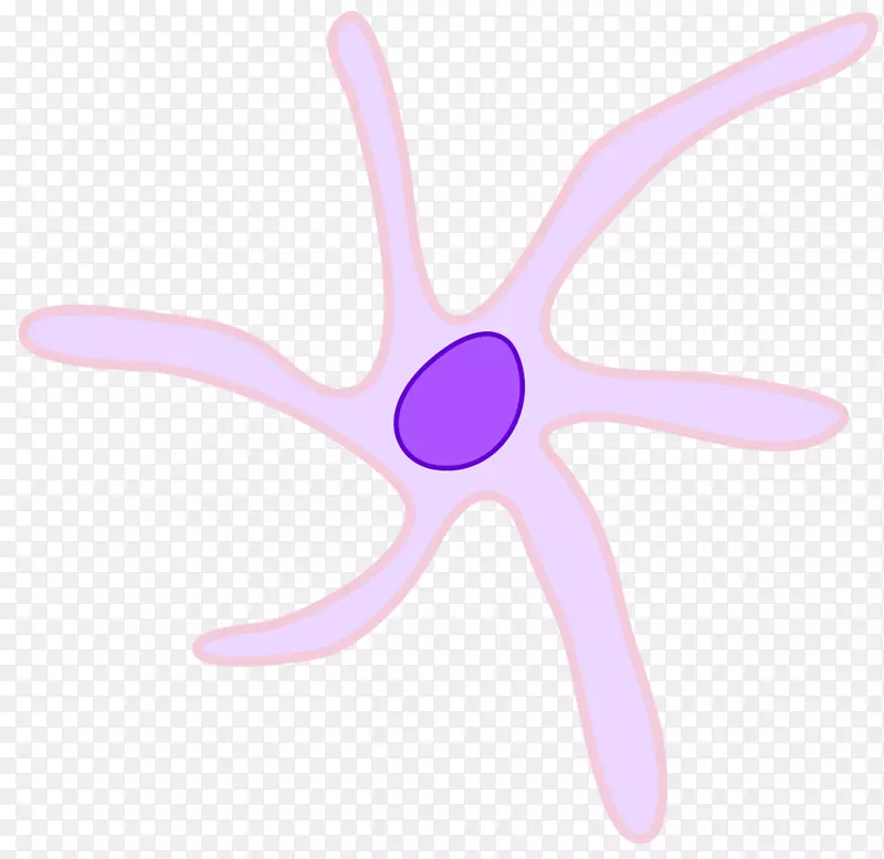 树突状细胞白血球郎格罕氏细胞祖细胞-细胞