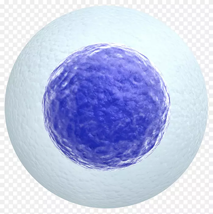 卵细胞捐赠