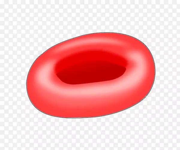 红细胞血红蛋白细胞核