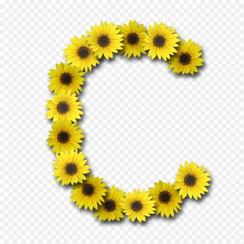 字母大小写字母表字体-向日葵