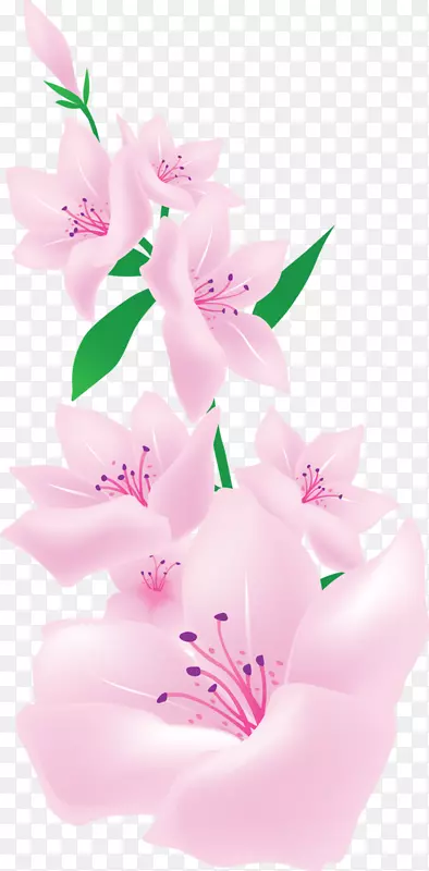 粉红花朵剪贴画-粉红灯