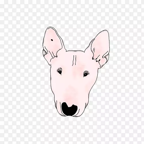 公牛猎犬(微型)旧英国猎犬公牛和英国小猎犬英国白猎犬-Tumblr