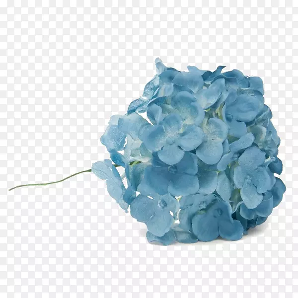 花束蓝绣球花
