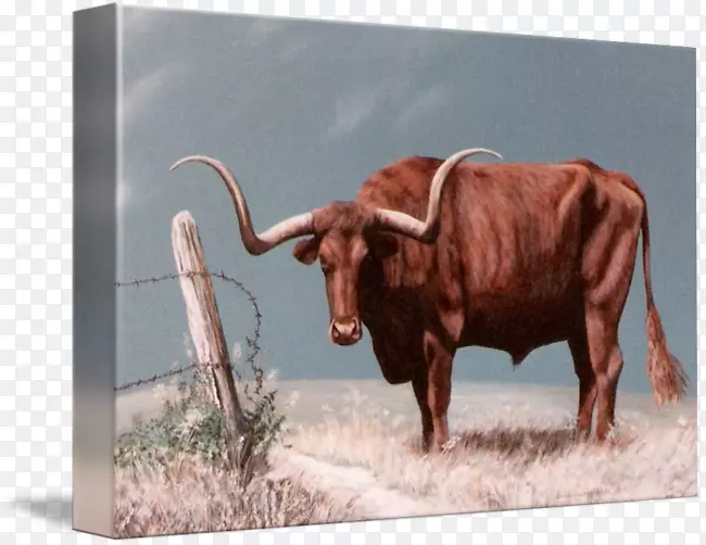 得克萨斯州龙角英文牛犊纸印刷-龙角纸