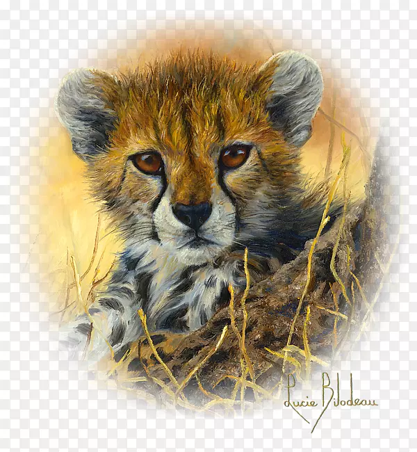豹，南非猎豹，t恤，绘画艺术，猎豹