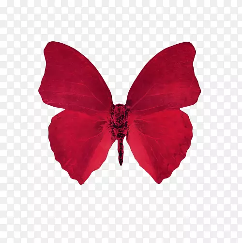 蝴蝶桌面壁纸美学剪贴画-红色蝴蝶