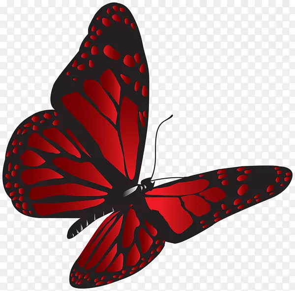 蝴蝶红夹子艺术-红蝴蝶