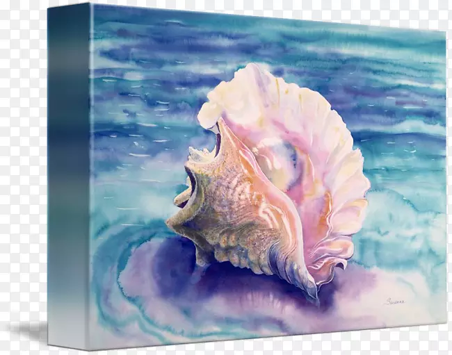 加勒比海海螺水彩画-海螺
