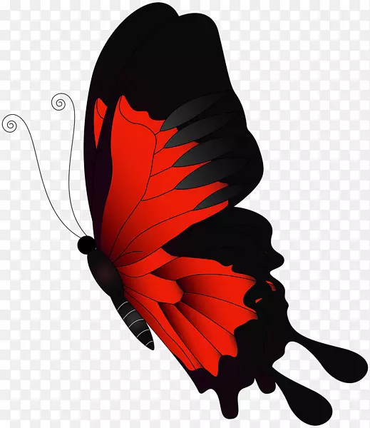 蝴蝶色键飞行剪辑艺术-红色蝴蝶