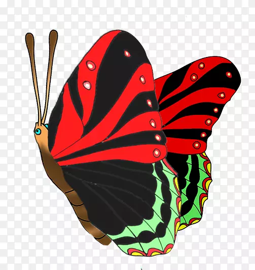 蝴蝶昆虫红色剪贴画-红蝴蝶
