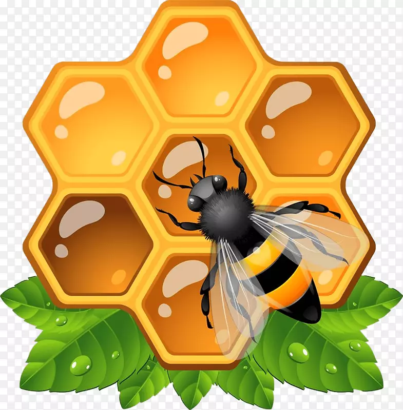 蜜蜂昆虫蜂巢剪贴画蜂巢