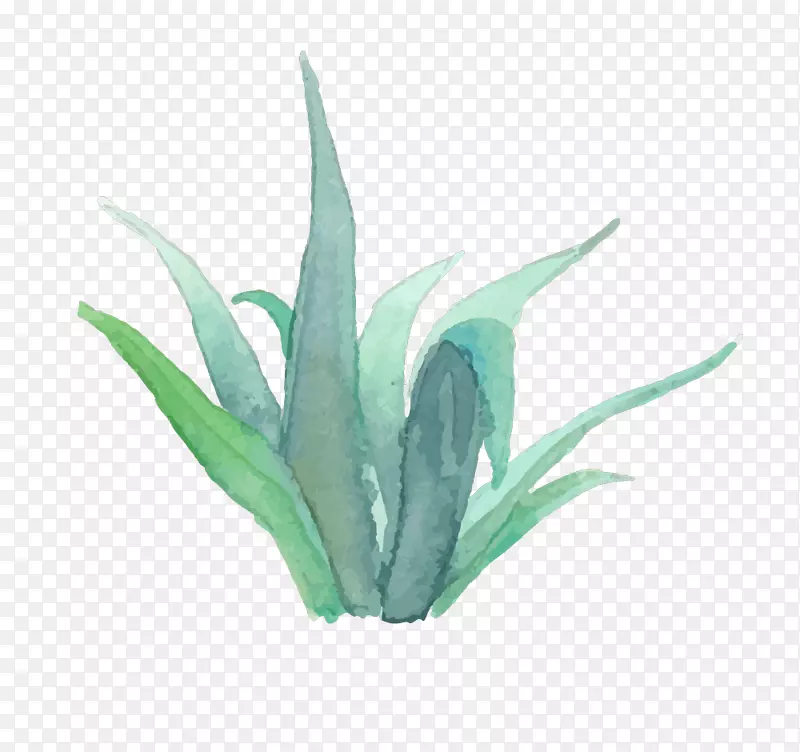 水晶香奈儿摄影房地产代理摄影师水彩画肉质