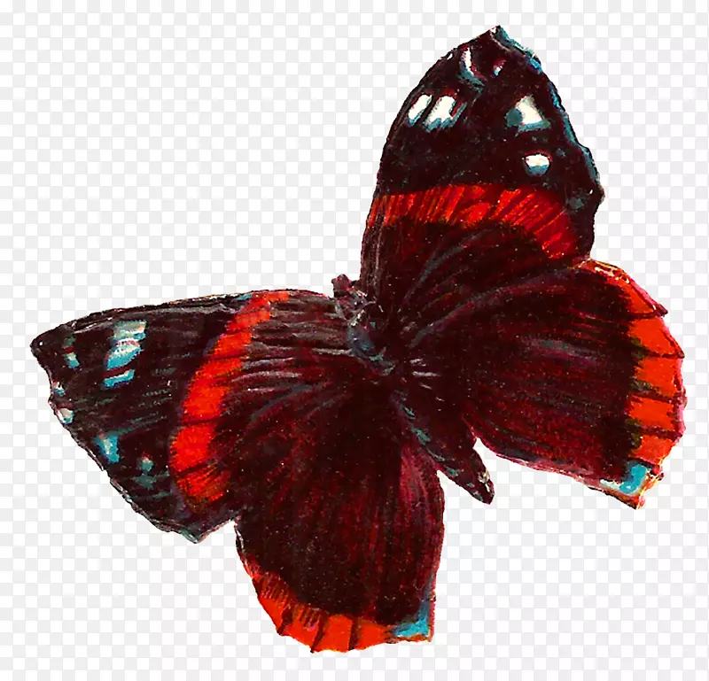 蝴蝶昆虫剪贴画-红色蝴蝶
