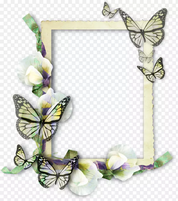 蝴蝶画框模塑昆虫蝴蝶框