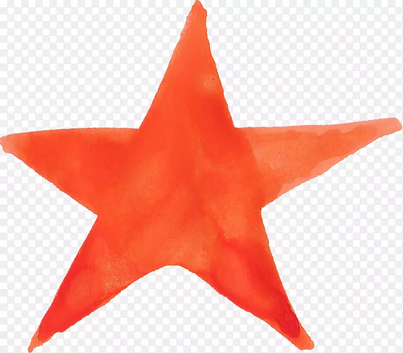闪闪发光的棕榈星-水彩画明星