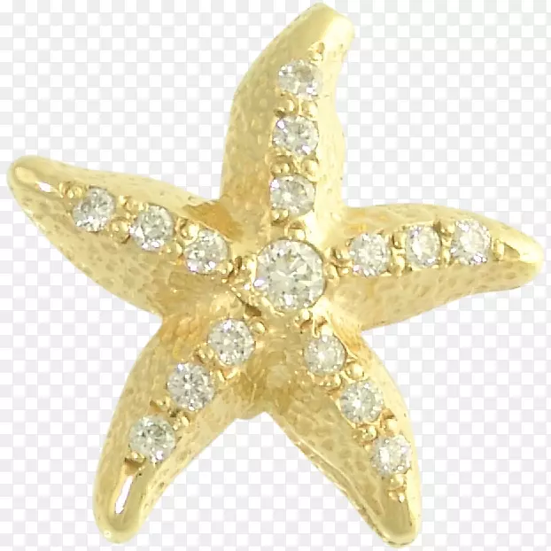海星金耳环珠宝魅力和吊坠-海星