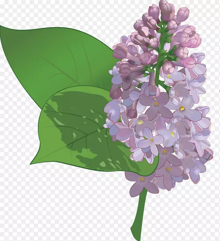 紫丁香插花艺术-丁香花