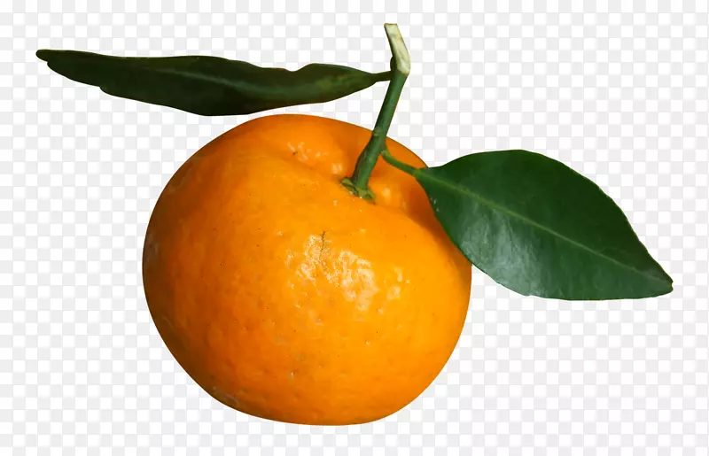 橘子，桔子，朗浦尔，橘子-橘子