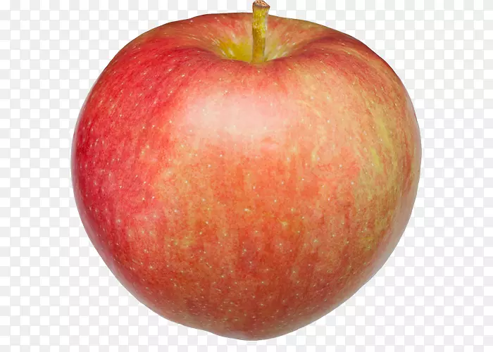 苹果宝拉红苹果