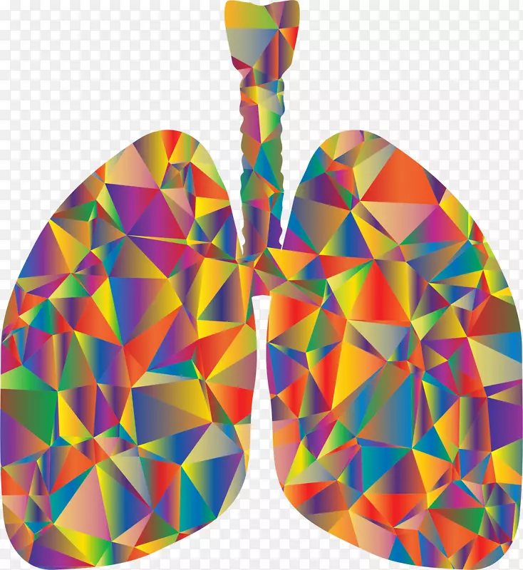 肺t恤呼吸系统剪贴画.低聚
