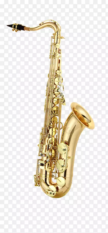 男高音萨克斯管乐器也包括萨克斯管女高音萨克斯管