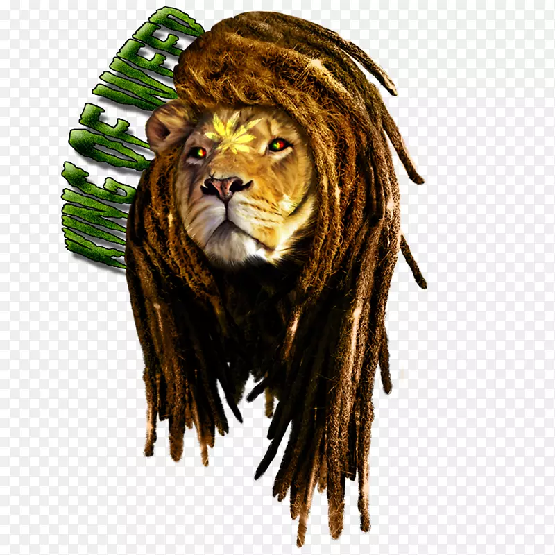 狮子t恤辫子Rastafari reggae-reggae