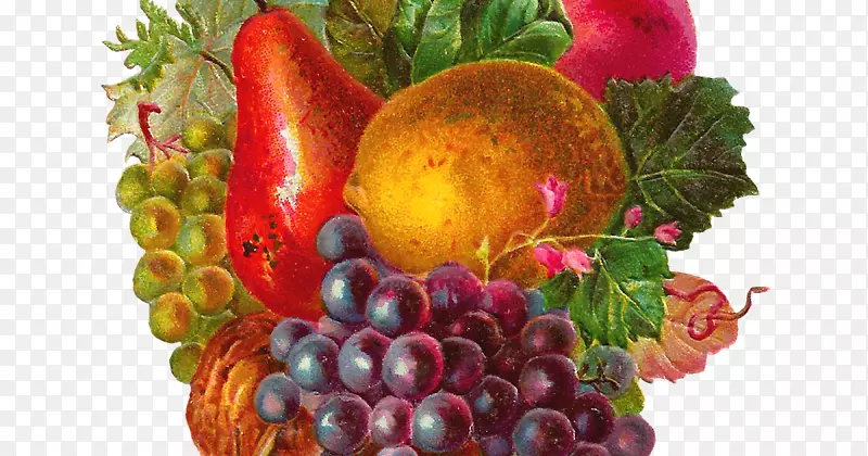 普通葡萄、水果、古旧服装、苹果剪贴画-混合水果