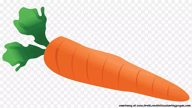 小胡萝卜蔬菜夹艺术-胡萝卜汁