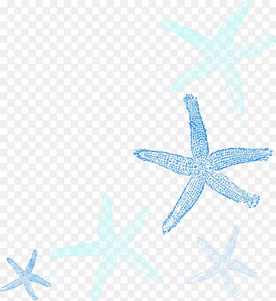 海星电脑图标剪辑艺术星海