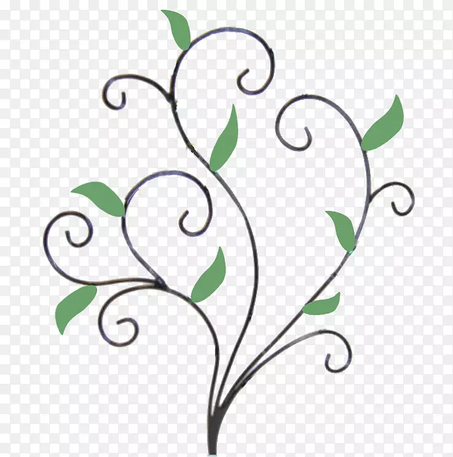 鸟枝，植物茎，叶-枝