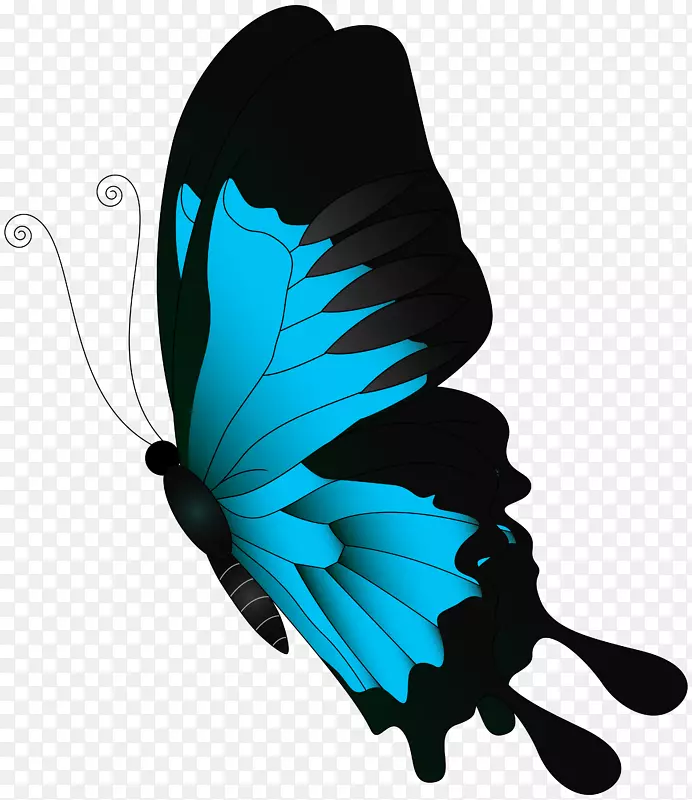 蝴蝶桌面壁纸夹艺术-蓝色蝴蝶