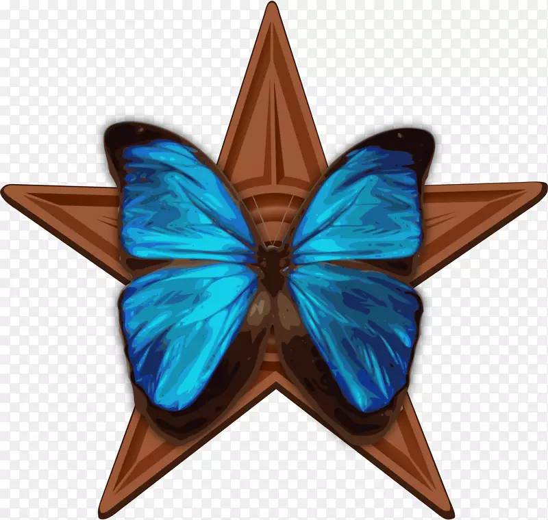蝴蝶昆虫形态-蓝色蝴蝶