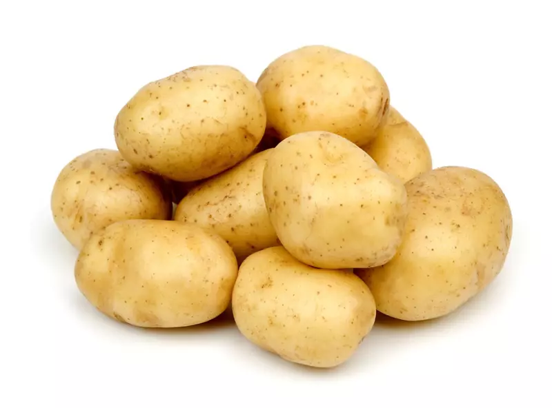 育空金土豆炸薯条马铃薯品种马铃薯面包薯条