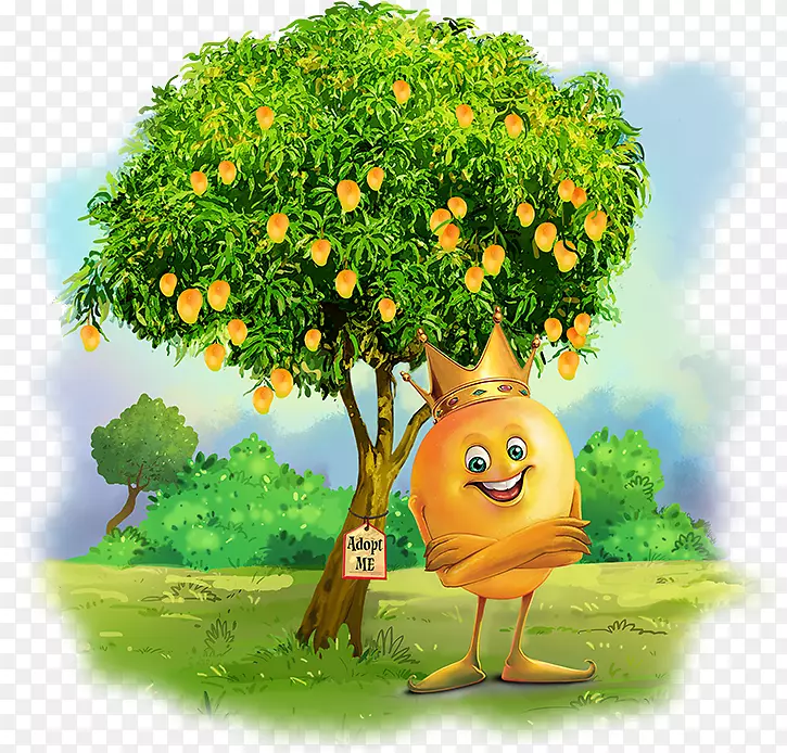 甘露芒果-芒果树