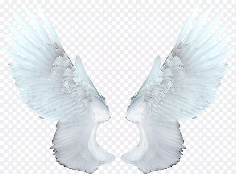 翼天使光栅图形剪辑艺术翅膀